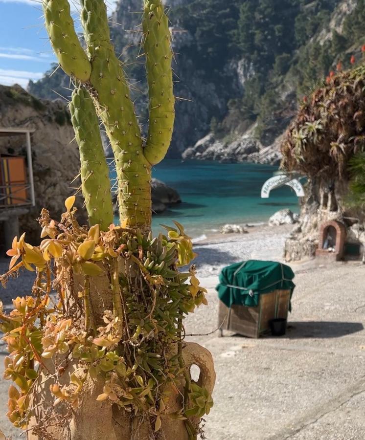Capri Magic House On The Beach المظهر الخارجي الصورة