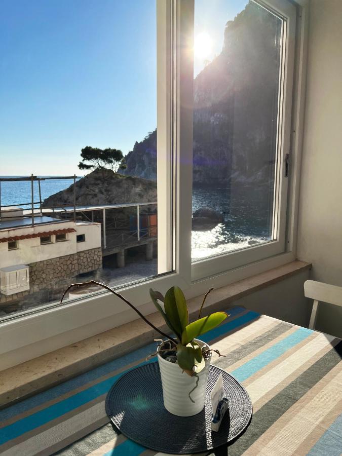 Capri Magic House On The Beach المظهر الخارجي الصورة